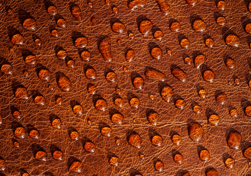 tablier de cuisine en cuir imperméable